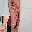 Kingdom Tattoo image 2