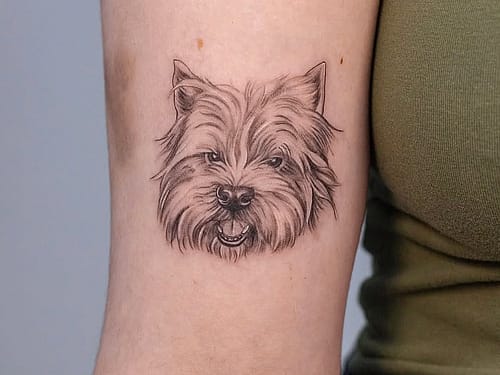 Walk in Tattoo Studio Porto | Ethereal Tattoo Parlour main image